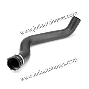 Radiator hose 504011594