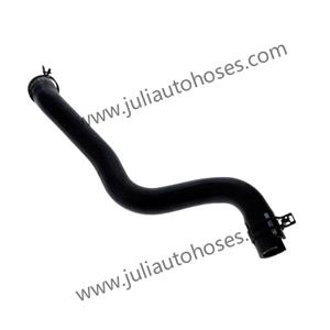 Radiator Hose LF50-15-186G