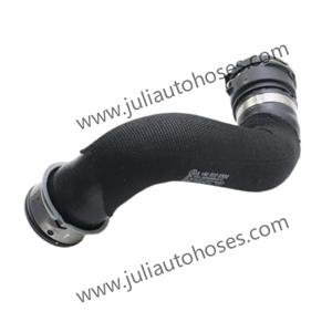 Engine Coolant Radiator Hose 1665005300